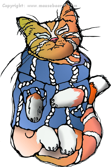 katze-mit-pullover-schlafend-schlafende-stubentiger-mausebaeren