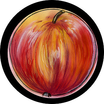 apfel, aepfel, äpfel, apfelsaft, apfelsäfte, saft, säfte, apfelsaftkarton, apfeldesign by Christine Dumbsky