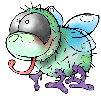 Fliege, Fliegen, Stubenfliege, Stubenfliegen, mistfliege, mistbiene, mistfliegen, mistbienen, Schmeifliege, schmeissfliege, schmeissfliegen, schmeifliegen, flies, fly, bluebottles, blowfly, blow-fly, blowfly, greenbottle fly, sheep blowfly, la abeja, la mosca, moscas, abejas, mosca azul, mosca de la carne, moscarda, moscardon by Christine Dumbsky 