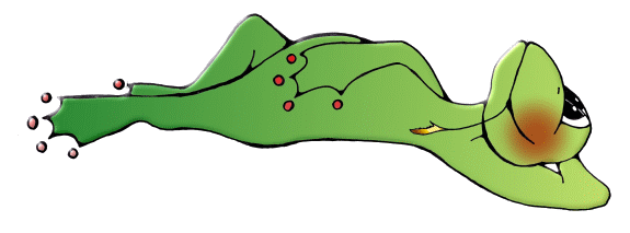 Frosch, Frösche, Froesche, frog, frogs, comic, comics, Comicfigur, comicfiguren von Christine Dumbsky