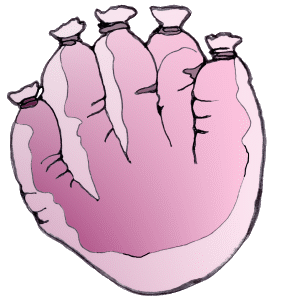 wurstfinger, wurst, finger, comics, comicfiguren, kindercomics, kinderkomiks von Christine Dumbsky